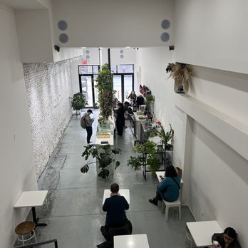 Semicolon Cafe - Coffee & Tea Near Me - New York, New York