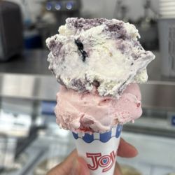 Beach Plum Ice Cream Parlor - Blueberry pie and strawberry