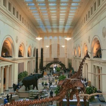 Field Museum - Museums Near Me - Chicago, Illinois Field Museum - Museums Near Me - Chicago, Illinois