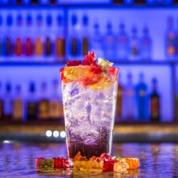 Social House - The Social Bear