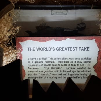 Ripley's Believe It Or Not - Museums Near Me - Wisconsin Dells, Wisconsin Ripley's Believe It Or Not - Museums Near Me - Wisconsin Dells, Wisconsin