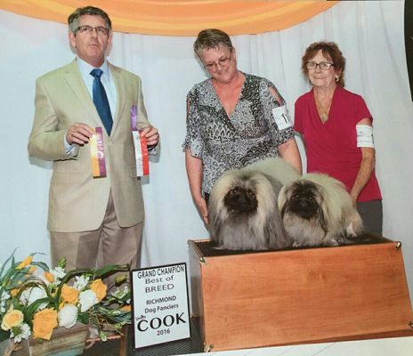 Best In Show Dog Grooming