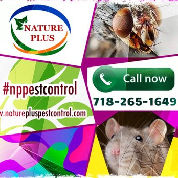 Nature Plus Pest Control - NATURE PLUS pest control moves you forward! Don't get stuck with nasty pests!!! - Pest Control Near Me - Brooklyn, New York