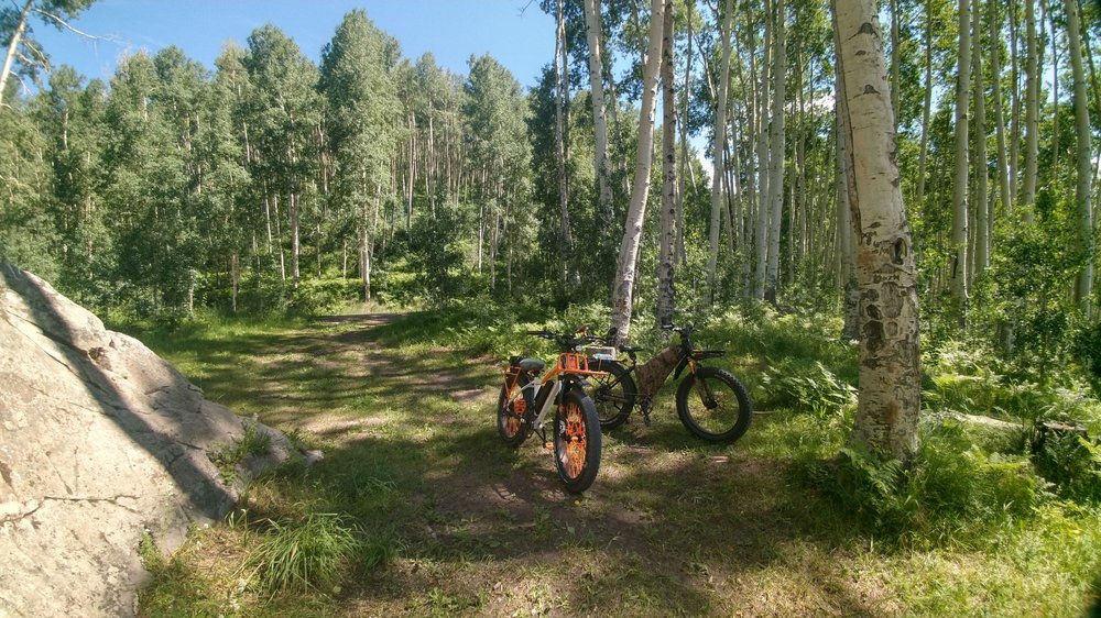 PRIEST GULCH CAMPGROUND Updated October 2024 11 Photos 27646 CO