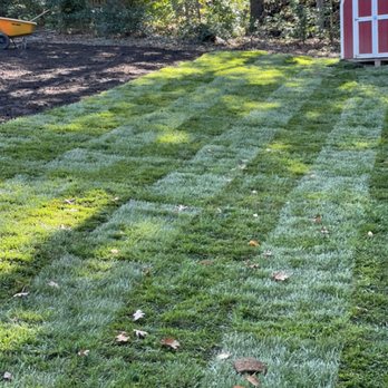 Aventura Tree Services - New sod - Tree Services Near Me - Gaithersburg, Maryland Aventura Tree Services - New sod - Tree Services Near Me - Gaithersburg, Maryland