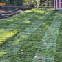 Aventura Tree Services