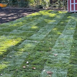 Aventura Tree Services - New sod