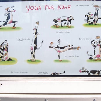 Werstenbuch - Yoga für Kühe. Na so was! - Bookstores Near Me - Dusseldorf, NW