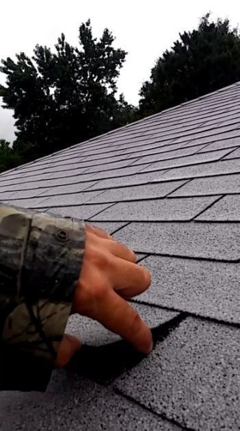 Slide of Luxia Gallery House