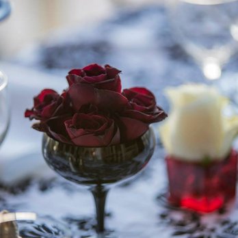 Paisley & Plum Events - Wedding Planning Near Me Paisley & Plum Events - Wedding Planning Near Me