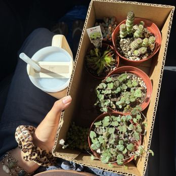 Selva Coffee House - Coffee Roasteries Near Me - San Diego, California
