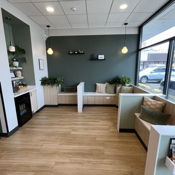Ivy Veterinary Care - Lobby area with choice of seating - Veterinarians Near Me - Chicago, Illinois