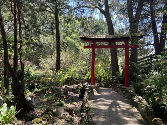 Cedar Lakes Woods and Gardens by null