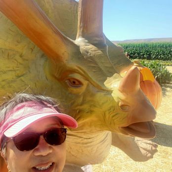 Spina Farms Pumpkin Patch - Pumpkin Patches Near Me - Morgan Hill, California