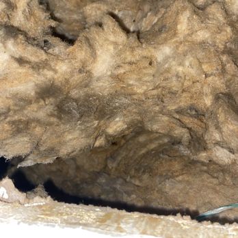 Kirkwood Bluffs - Black insulation in ceiling from water leak - Apartments Near Me - Saint Louis, Missouri
