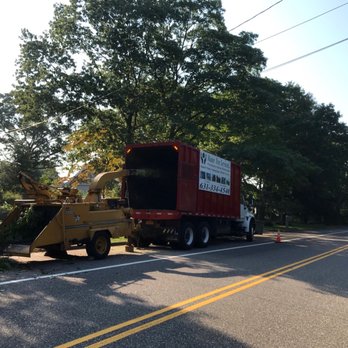 Master Tree Services - Tree Services Near Me