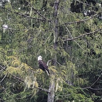 Eagle One Enterprises - Boat Tours Near Me