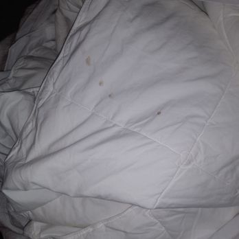 Embassy Suites by Hilton Williamsburg - Stains on bed cover - Hotels Near Me - Williamsburg, Virginia Embassy Suites by Hilton Williamsburg - Stains on bed cover - Hotels Near Me - Williamsburg, Virginia