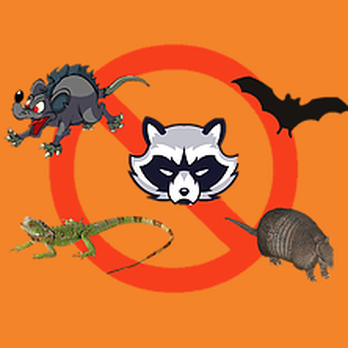 Absolute Critter Removal - Wildlife Control Near Me - Jensen Beach, Florida