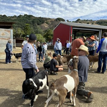 Stepladder Ranch & Creamery - Goat tour - Ranches Near Me - Cambria, California Stepladder Ranch & Creamery - Goat tour - Ranches Near Me - Cambria, California