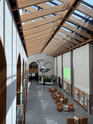 Yale Peabody Museum by null