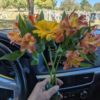 Bishop's Flowers - Guess how much these four stems were? And the holders are mine....30.00!!!!!! :( - Florists Near Me - Huntsville, Alabama Bishop's Flowers - Guess how much these four stems were? And the holders are mine....30.00!!!!!! :( - Florists Near Me - Huntsville, Alabama