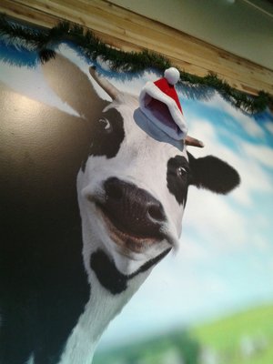 The Screamery by null