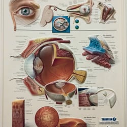 Ocotillo Eyecare