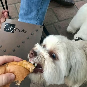 City Pub - My dog loves their burgers too - Pubs Near Me - Redwood City, California City Pub - My dog loves their burgers too - Pubs Near Me - Redwood City, California