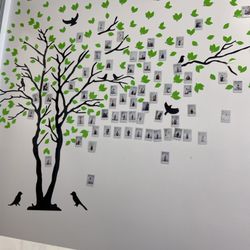 Total Kids Dental - This place is awesome they have a cavity free tree my son aims to be on! 10 out of 10 recommend!