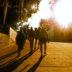 Crossfit Rise Above