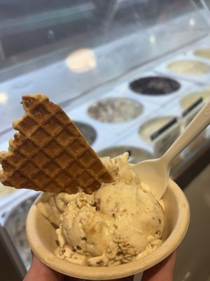 Jeni's Splendid Ice Creams by null