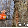 Photo of Brian's Tree Service