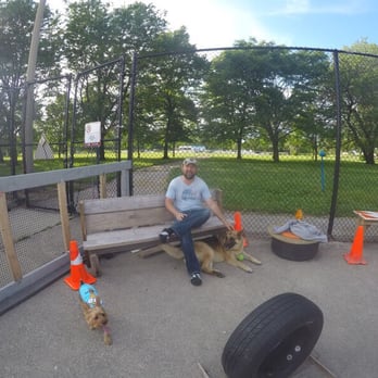 Jackson Bark - Hanging our with my friends Charlie and Todd. - Dog Parks Near Me - Chicago, Illinois