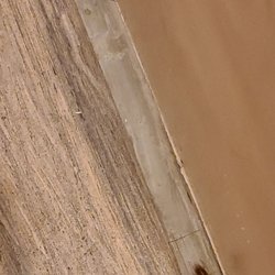 Sands Motel of Boulder City - 2 of the 3 baby cockroaches