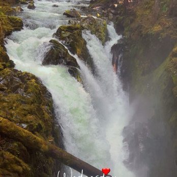 Olympic National Park - Parks Near Me - Port Angeles, Washington