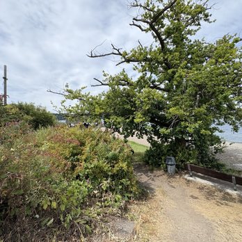 Saltar's Point Park - Parks Near Me - Steilacoom, Washington
