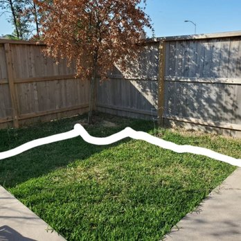 JM Tree Services - a backyard with a lawn and fence - Landscaping Near Me - Katy, Texas