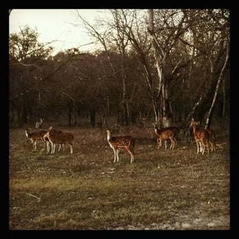 Garner State Park - Lots of wildlife ... - Parks Near Me - Concan, Texas