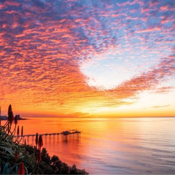 Ellen Browning Scripps Memorial Pier - Scripps pier by Luyi Zhao photos - Landmarks & Historical Buildings Near Me - La Jolla, California Ellen Browning Scripps Memorial Pier - Scripps pier by Luyi Zhao photos - Landmarks & Historical Buildings Near Me - La Jolla, California