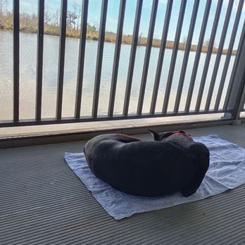 Bayou Segnette State Park - Chilling - Parks Near Me - Westwego, Louisiana