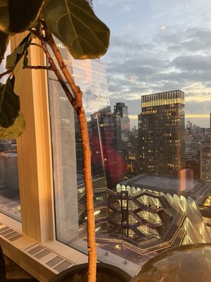 Electric Lemon by null