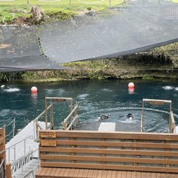 Blue Grotto Dive Resort - Blue Grotto