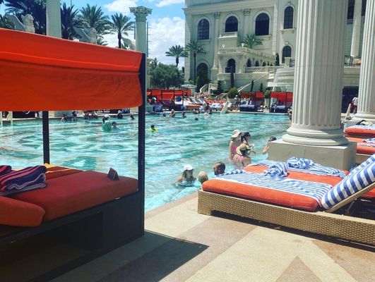 Venus Pool + Lounge by null