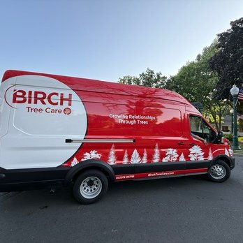 Birch Tree Care - Tree Services Near Me - Vadnais Heights, Minnesota Birch Tree Care - Tree Services Near Me - Vadnais Heights, Minnesota