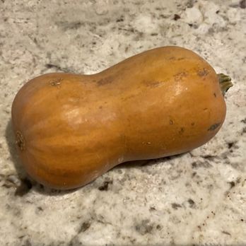 Wasem Fruit Farm - Squash - Pick Your Own Farms Near Me - Milan, Michigan