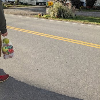 Becker Farms - Why did the chickens cross the road? - Venues & Event Spaces Near Me - Gasport, New York Becker Farms - Why did the chickens cross the road? - Venues & Event Spaces Near Me - Gasport, New York