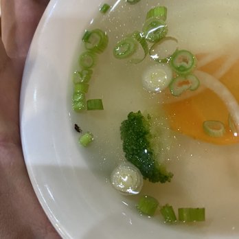 V Bistro - Bugs in your meal - Vietnamese Near Me - Humble, Texas V Bistro - Bugs in your meal - Vietnamese Near Me - Humble, Texas