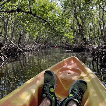 Kayak Excursions - Paddling through the canopied mangroves - Rafting/Kayaking Near Me - Fort Myers, Florida Kayak Excursions - Paddling through the canopied mangroves - Rafting/Kayaking Near Me - Fort Myers, Florida