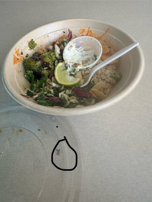 XENiA Mediterranean Kitchen - San Jose by null